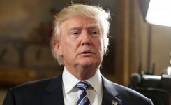 Estas empresas le hacen frente a Donald Trump en redes sociales.
